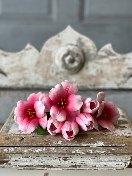 Merriweather Bundle | 15" | Darling