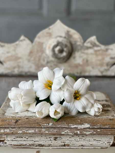 Merriweather Bundle | 15" | White