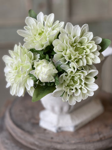 Matilda Mum Bundle | 10" | Irish | CASE PACK + CLEAN UP SPECIAL!  From $4.95