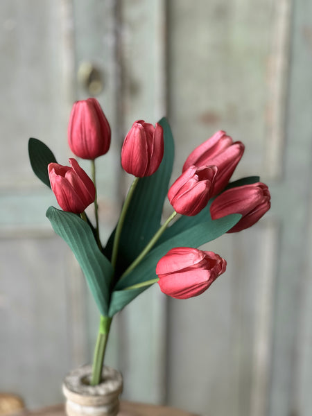 Triumph Tulip Bundle | 14.5" | Rouge | NOT CURRENTLY IN STOCK - Spring 2026