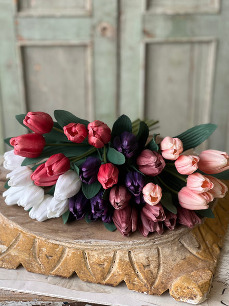 Triumph Tulip Bundle | 14.5" | Queen