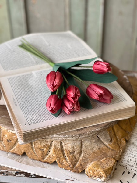 Triumph Tulip Bundle | 14.5" | Rouge | NOT CURRENTLY IN STOCK - Spring 2026