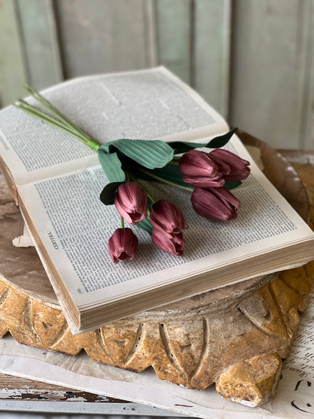 Triumph Tulip Bundle | 14.5" | Dusky | NOT CURRENTLY IN STOCK - Spring 2026