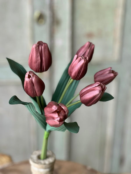 Triumph Tulip Bundle | 14.5" | Dusky | NOT CURRENTLY IN STOCK - Spring 2026