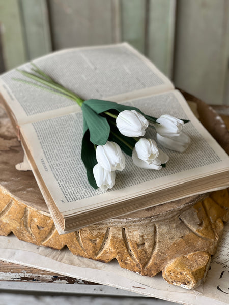 Triumph Tulip Bundle | 14.5" | White | NOT CURRENTLY IN STOCK - Spring 2026