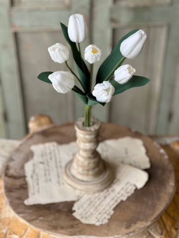 Triumph Tulip Bundle | 14.5" | White | NOT CURRENTLY IN STOCK - Spring 2026