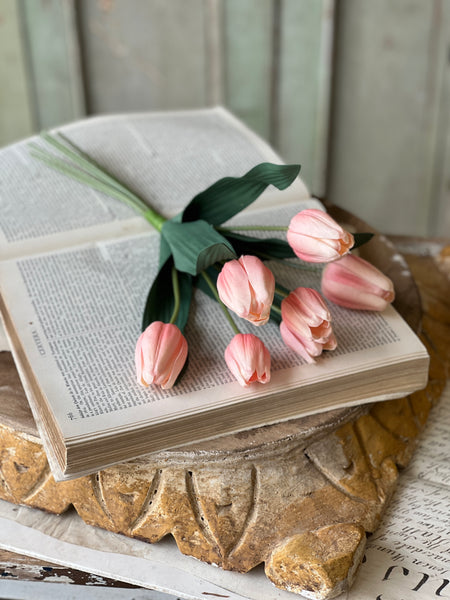 Triumph Tulip Bundle | 14.5" | Sorbet | NOT CURRENTLY IN STOCK - Spring 2026