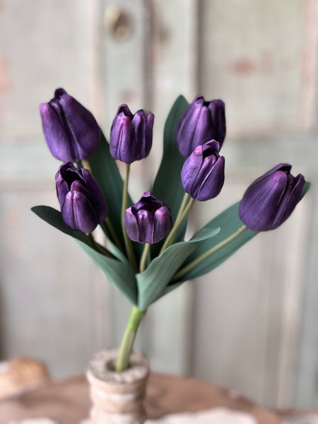 Triumph Tulip Bundle | 14.5" | Queen