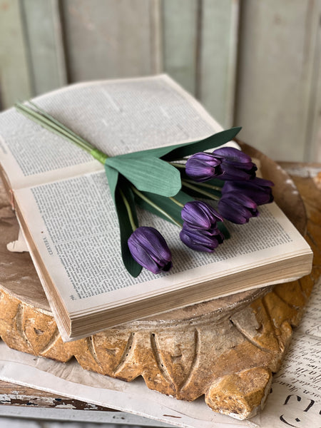 Triumph Tulip Bundle | 14.5" | Queen