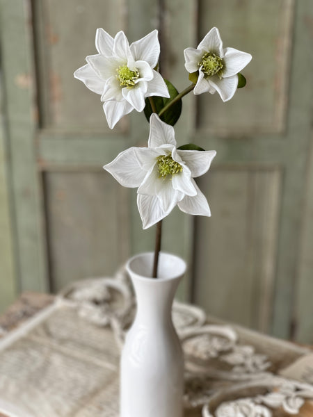 Devotion Magnolia | 26" | White | Limited Stock - Last 72pcs!  (will be discontinued for Spring 2026)