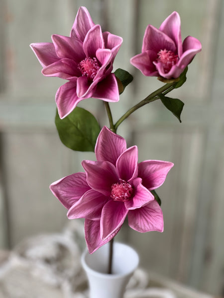 Devotion Magnolia | 26" | Priss