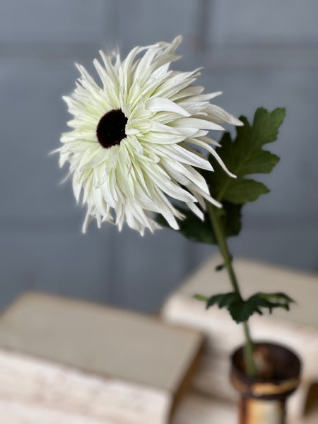 Starshot Daisy | 24" | White