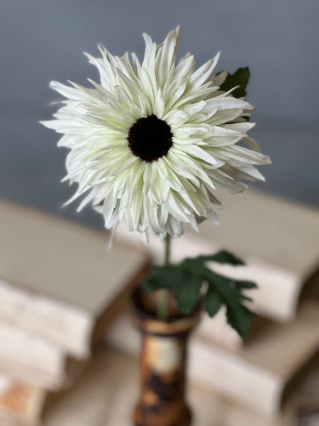 Starshot Daisy | 24" | White