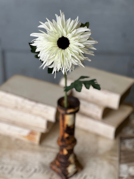 Starshot Daisy | 24" | White