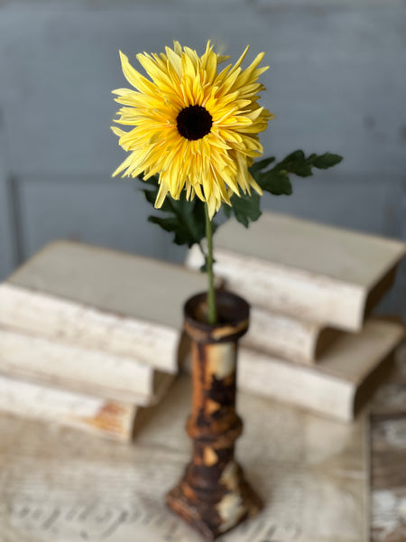 Starshot Daisy | 24" | Yellow