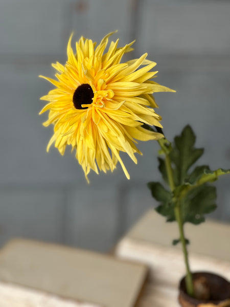 Starshot Daisy | 24" | Yellow