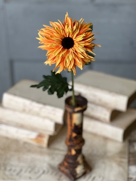 Starshot Daisy | 24" | Orange