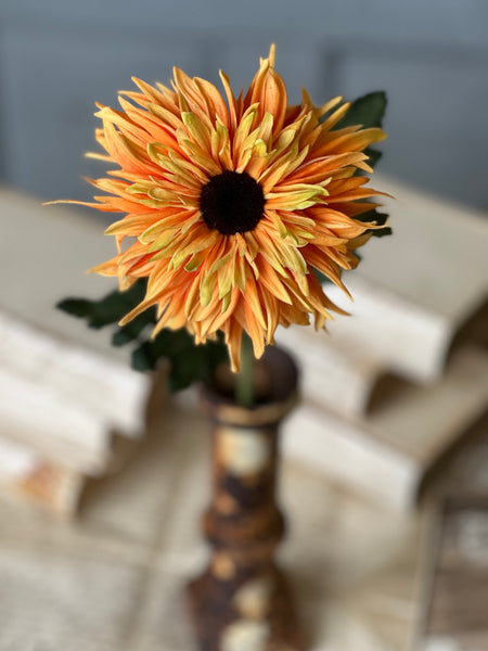 Starshot Daisy | 24" | Orange