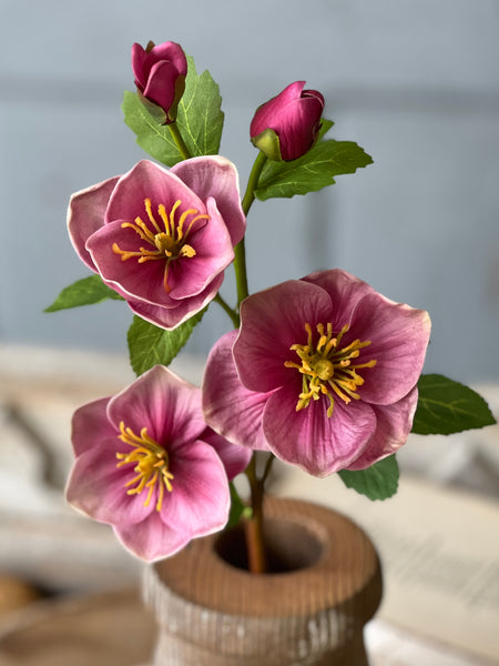 Oracle Rosette | 17" | Priss | Limited Stock - Last 12pcs! (will be discontinued for Spring 2026)