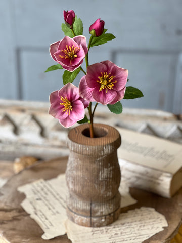 Oracle Rosette | 17" | Priss | Limited Stock - Last 12pcs! (will be discontinued for Spring 2026)