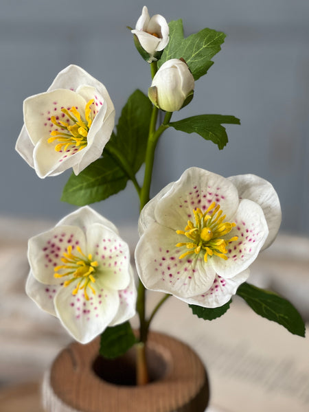 Oracle Rosette | 17" | Fairy | Limited Stock - Last 120pcs! (will be discontinued for Spring 2026)