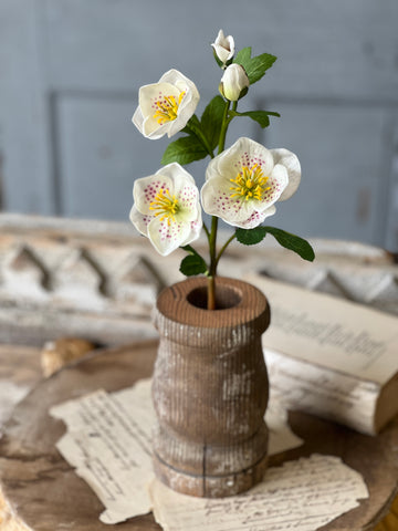 Oracle Rosette | 17" | Fairy | Limited Stock - Last 120pcs! (will be discontinued for Spring 2026)