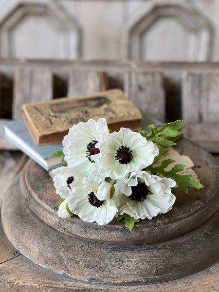 Maven Poppy Bundle | 11" | Cream | NOT CURRENTLY IN STOCK-New For Spring 2026!