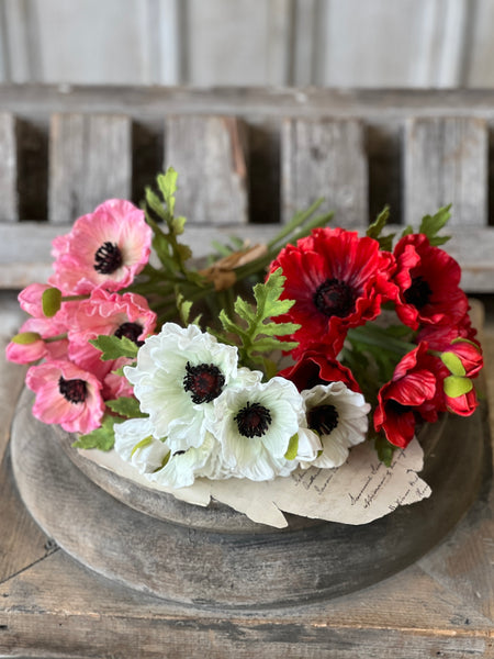 Maven Poppy Bundle | 11" | Cream | NOT CURRENTLY IN STOCK-New For Spring 2026!