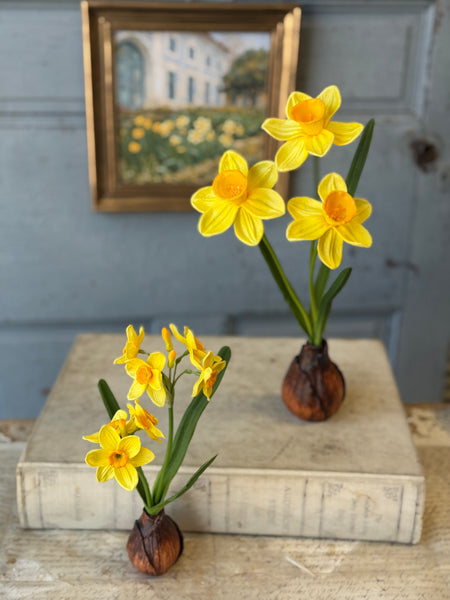 Daybreak Daffodil Bulb | 10" | Sunny | NOT CURRENTLY IN STOCK-New For Spring 2027!