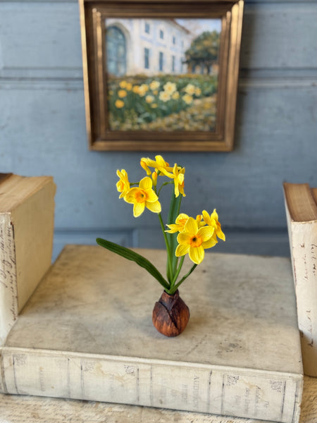 Daybreak Daffodil Bulb | 10" | Sunny | NOT CURRENTLY IN STOCK-New For Spring 2027!