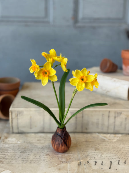 Daybreak Daffodil Bulb | 10" | Sunny | NOT CURRENTLY IN STOCK-New For Spring 2027!