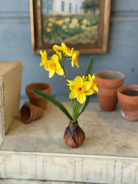 Daybreak Daffodil Bulb | 10" | Sunny | NOT CURRENTLY IN STOCK-New For Spring 2027!