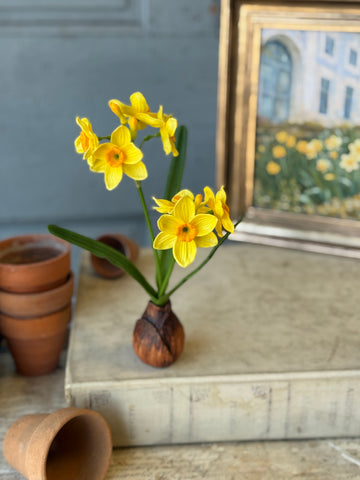 Daybreak Daffodil Bulb | 10" | Sunny | NOT CURRENTLY IN STOCK-New For Spring 2027!