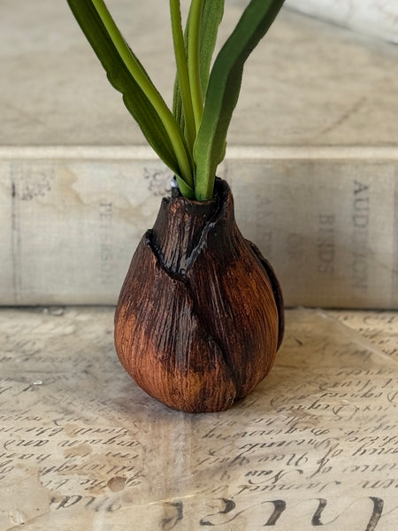 Daybreak Daffodil Bulb | 10" | Sunny | NOT CURRENTLY IN STOCK-New For Spring 2027!