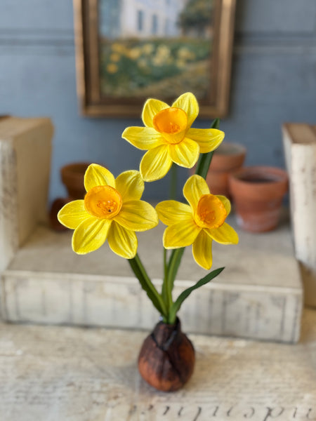 Daybreak Daffodil Bulb | 13.5" | Sunny | NOT CURRENTLY IN STOCK-New For Spring 2027!
