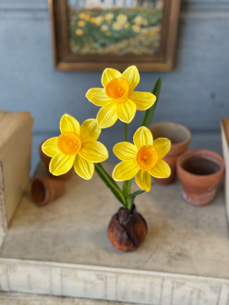 Daybreak Daffodil Bulb | 13.5" | Sunny | NOT CURRENTLY IN STOCK-New For Spring 2027!