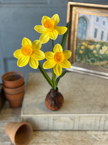 Daybreak Daffodil Bulb | 13.5" | Sunny | NOT CURRENTLY IN STOCK-New For Spring 2027!