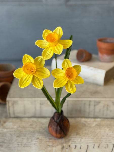 Daybreak Daffodil Bulb | 13.5" | Sunny | NOT CURRENTLY IN STOCK-New For Spring 2027!
