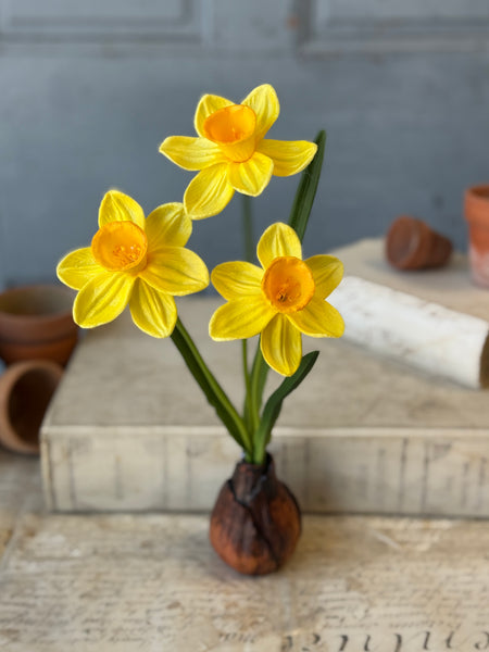 Daybreak Daffodil Bulb | 13.5" | Sunny | NOT CURRENTLY IN STOCK-New For Spring 2027!