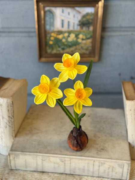 Daybreak Daffodil Bulb | 13.5" | Sunny | NOT CURRENTLY IN STOCK-New For Spring 2027!