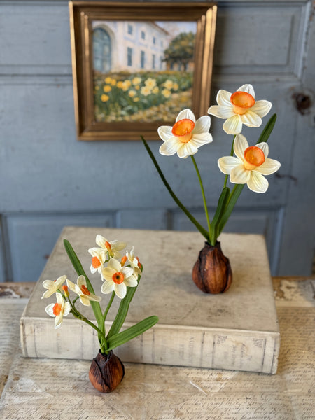 Daybreak Daffodil Bulb | 10" | Wink | NOT CURRENTLY IN STOCK-New For Spring 2027!