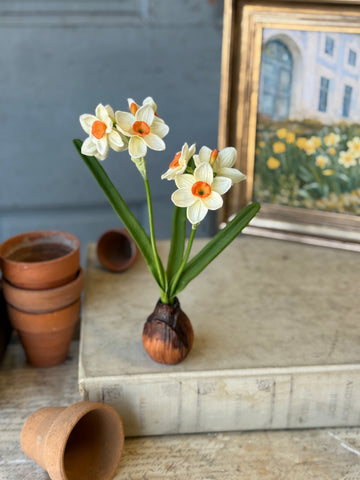 Daybreak Daffodil Bulb | 10" | Wink | NOT CURRENTLY IN STOCK-New For Spring 2027!