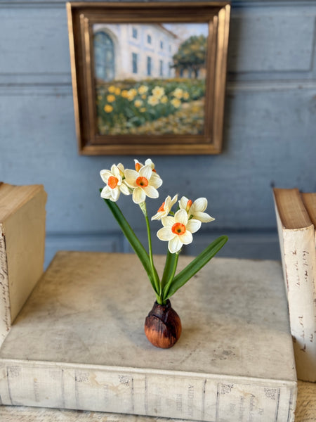 Daybreak Daffodil Bulb | 10" | Wink | NOT CURRENTLY IN STOCK-New For Spring 2027!