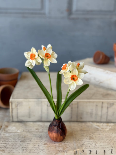 Daybreak Daffodil Bulb | 10" | Wink | NOT CURRENTLY IN STOCK-New For Spring 2027!