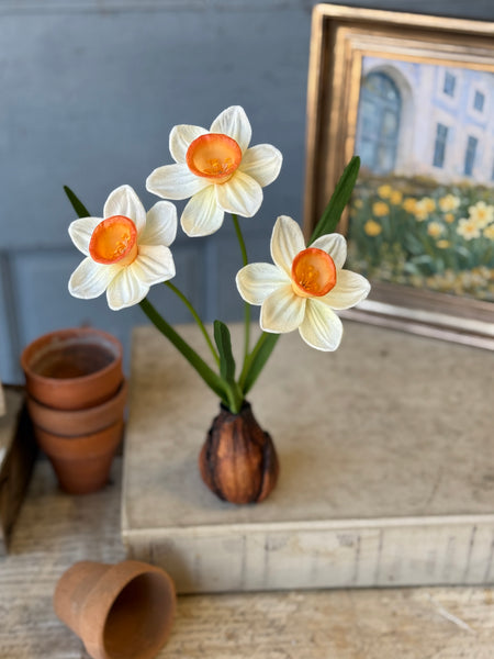 Daybreak Daffodil Bulb | 13.5" | Wink | NOT CURRENTLY IN STOCK-New For Spring 2027!