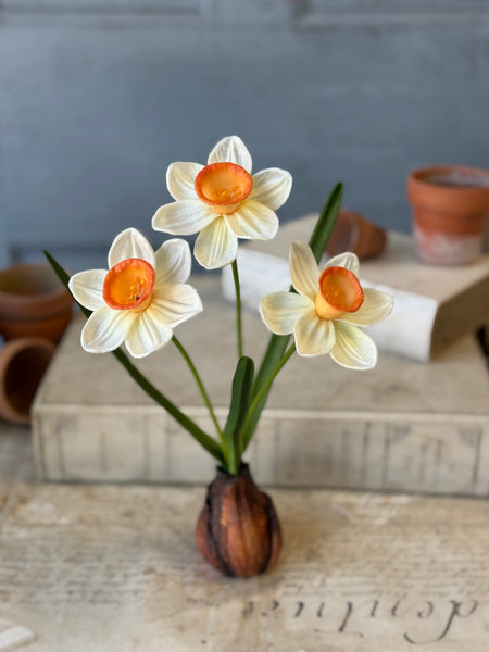Daybreak Daffodil Bulb | 13.5" | Wink | NOT CURRENTLY IN STOCK-New For Spring 2027!