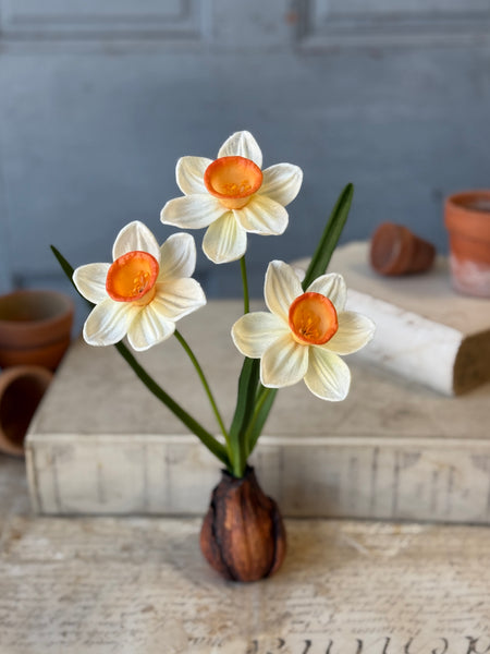 Daybreak Daffodil Bulb | 13.5" | Wink | NOT CURRENTLY IN STOCK-New For Spring 2027!
