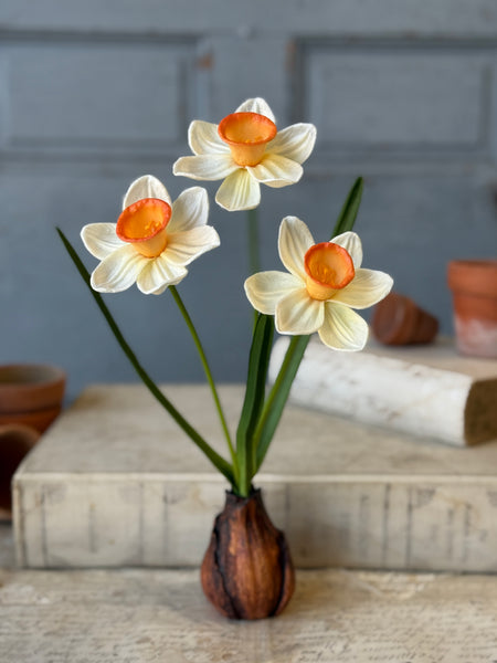 Daybreak Daffodil Bulb | 13.5" | Wink | NOT CURRENTLY IN STOCK-New For Spring 2027!