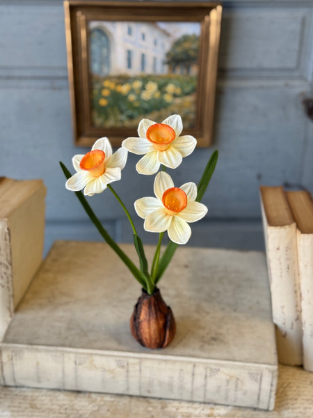 Daybreak Daffodil Bulb | 13.5" | Wink | NOT CURRENTLY IN STOCK-New For Spring 2027!