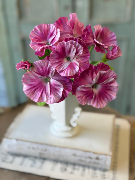 Flamenco Pansy | 11" | Swirl | NOT CURRENTLY IN STOCK-New For Spring 2027!